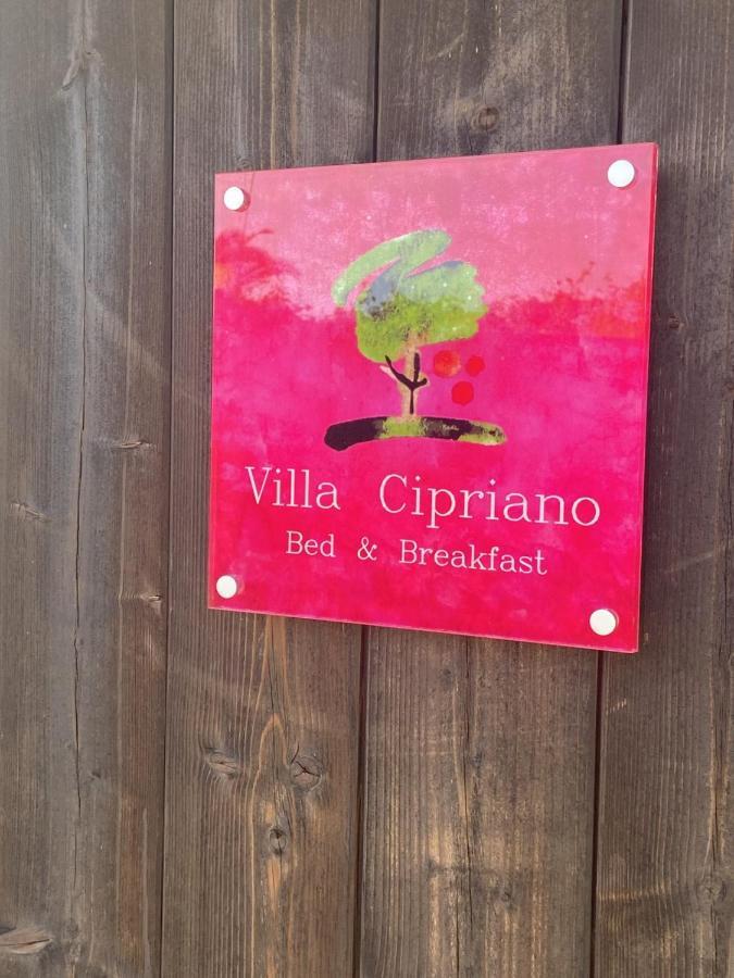 Villa Cipriano Minturno Eksteriør billede